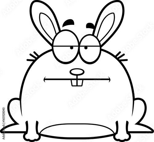 Calm Little Rabbit