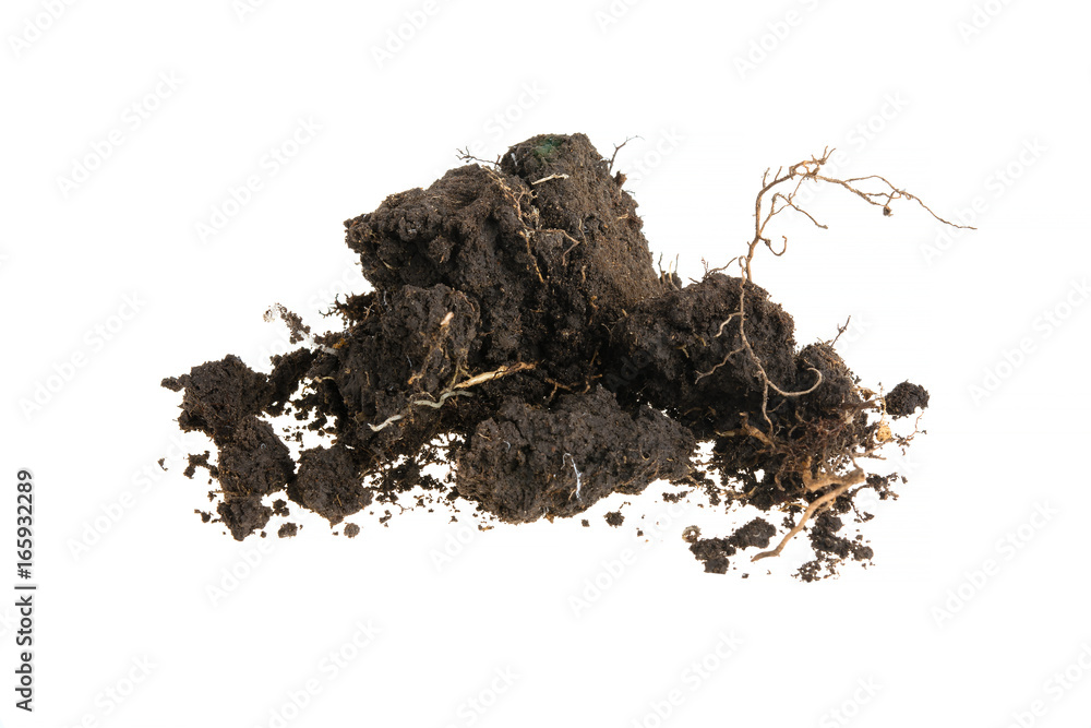 Black soil against white background Black soil against white background