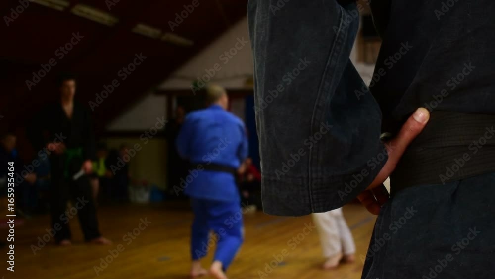 A martial arts seminar,city of Zrenjanin,Serbia,11th of March 2017. A martial arts seminar,city of Zrenjanin,Serbia,11th of March 2017.
