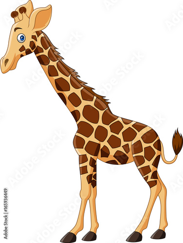 Cartoon giraffe isolated on white background