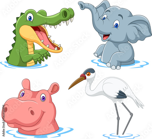 Cartoon safari animal on water