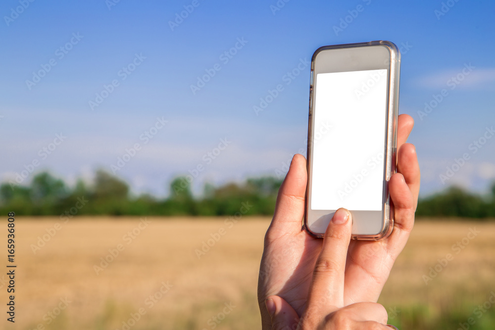 Phone in the hand of a girl on background nature