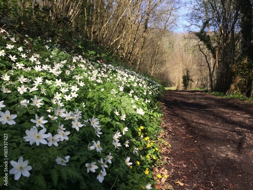 Sentier de Normandie