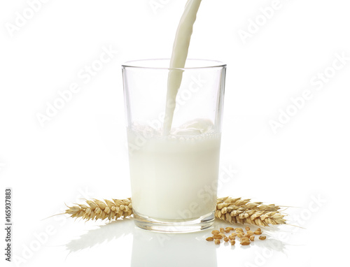 Milch einschenken photo