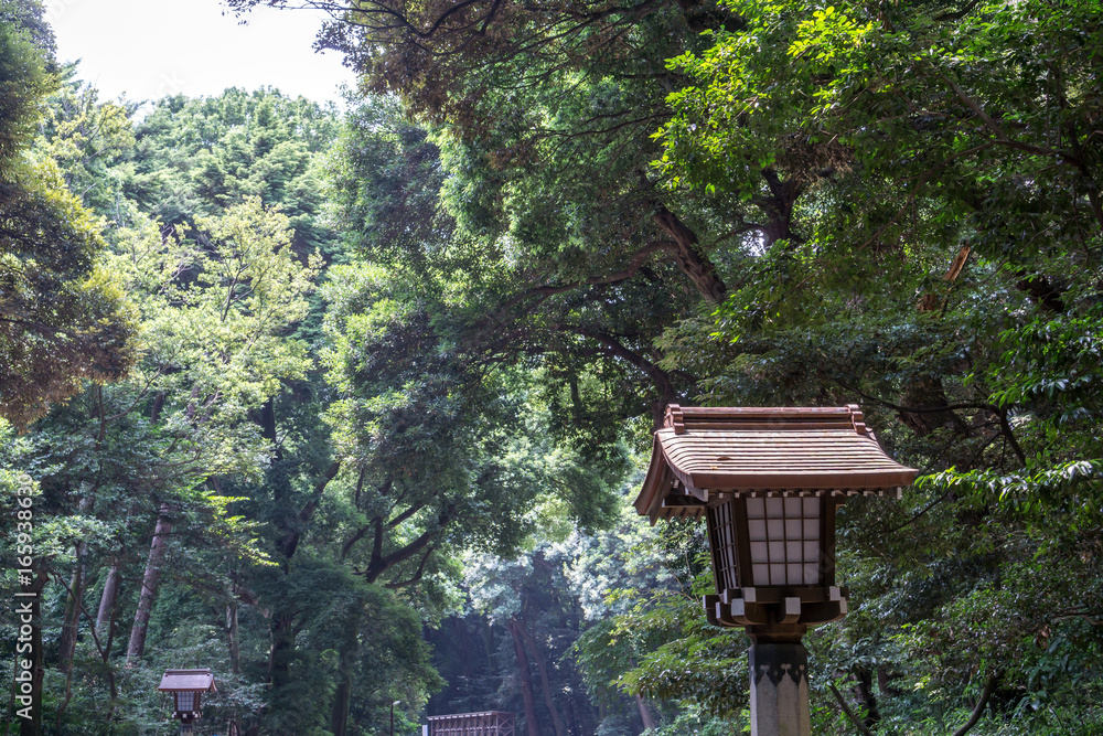 meiji shrine lantern