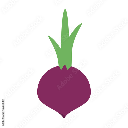 vegetable icon image