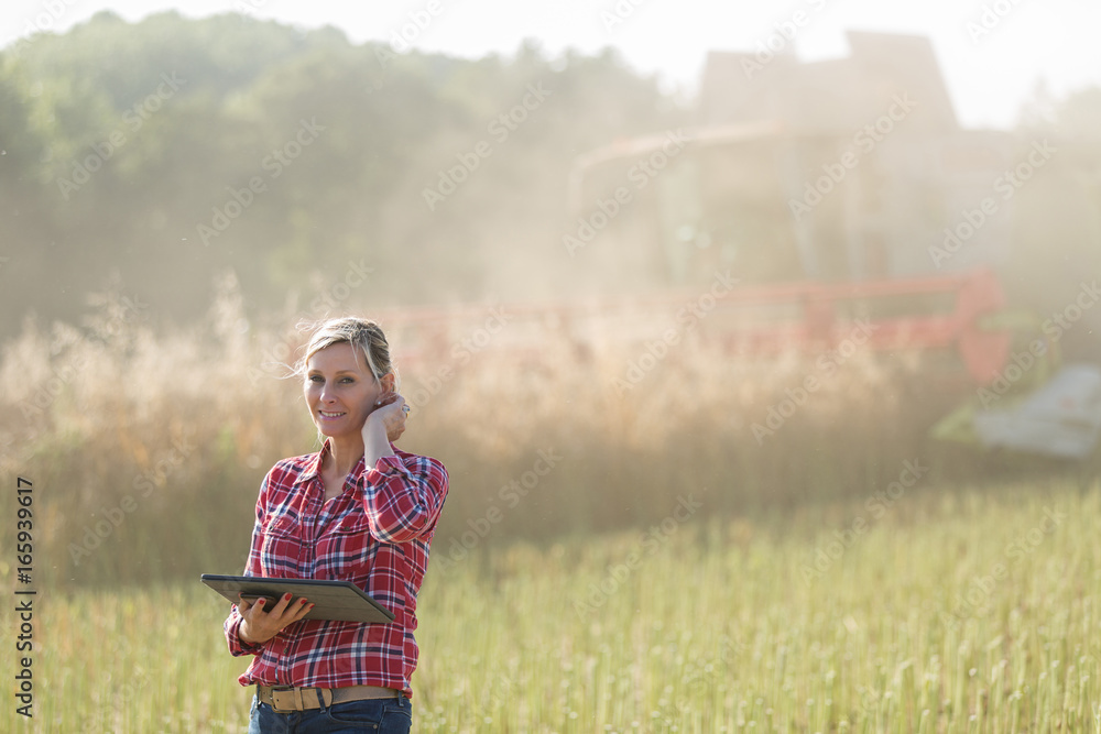 female farmer and harvest in a cereal field female farmer and harvest in a cereal field