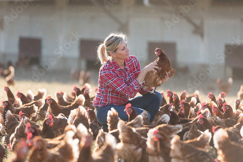 фотографія female farmer on poultry farm