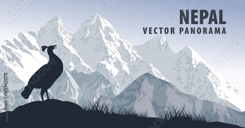 vector panorama of Nepal with himalayan monal photo