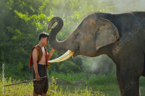 Young elephant and Man ,Thailand photo