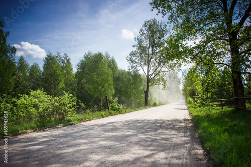 Sandy dusty forest road. Nature background sunny summer day.