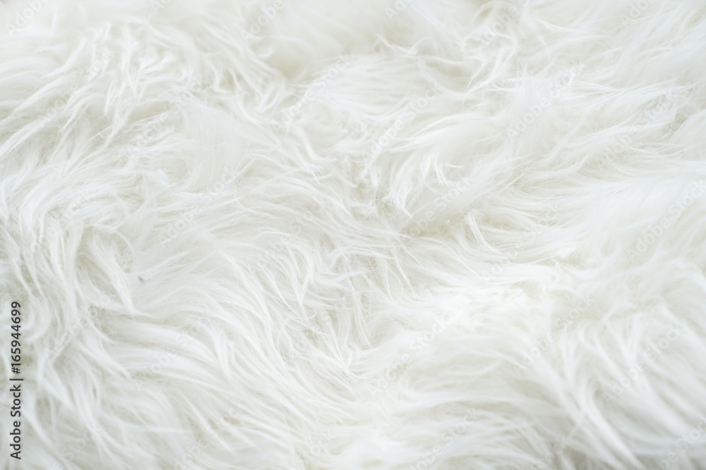 Premium Photo  White fur texture, close-up.useful as background
