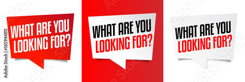 What are you looking for ?