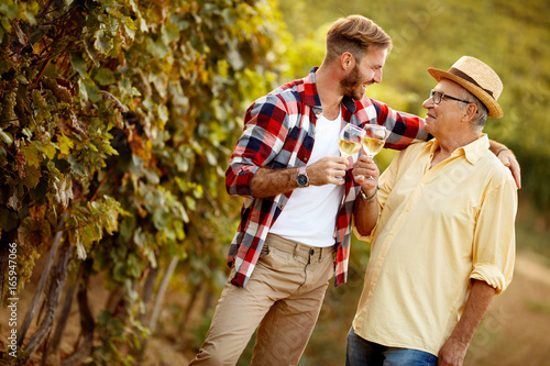 Billede på lærred father and son vintner harvest wine in vineyard.