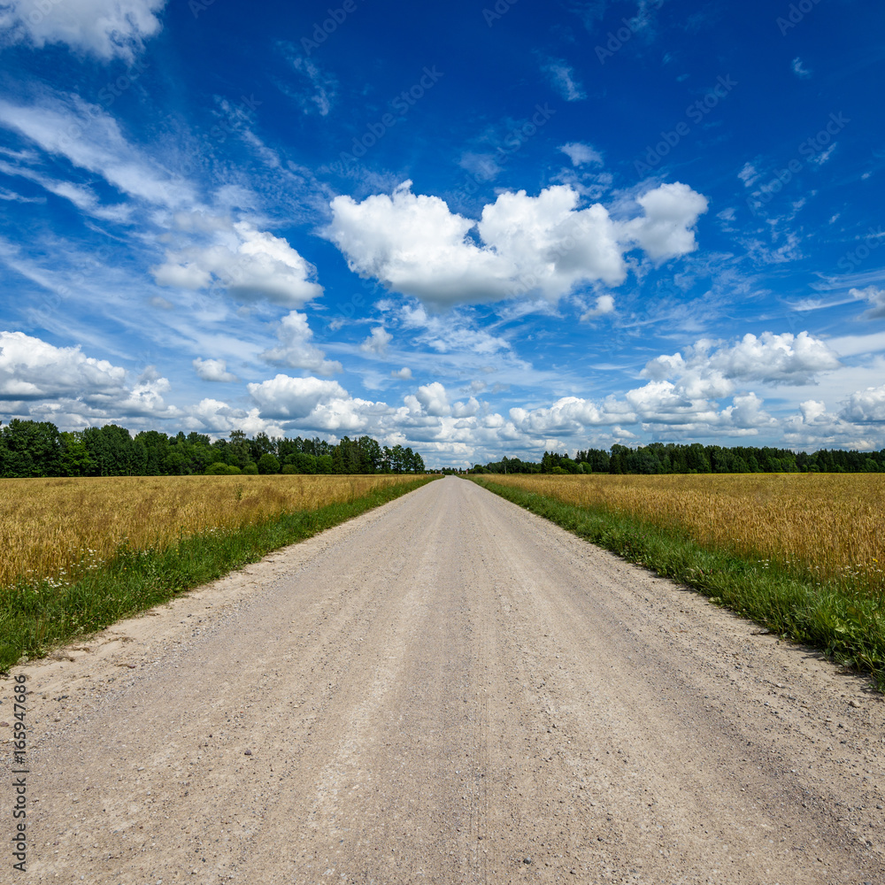 romantic gravel road in country under blue sky romantic gravel road in country under blue sky