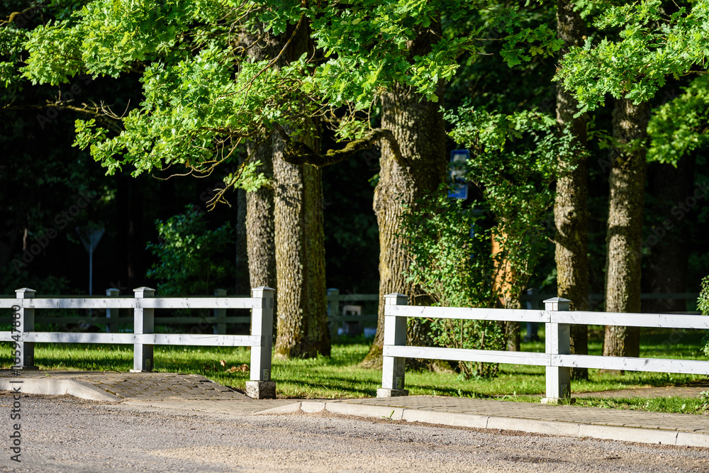 romantic gravel road in country under blue sky romantic gravel road in country under blue sky