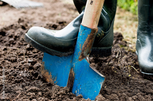 Worker digs the black soil with shovel in the vegetable garden, man loosens dirt in the farmland, agriculture and tough work concept