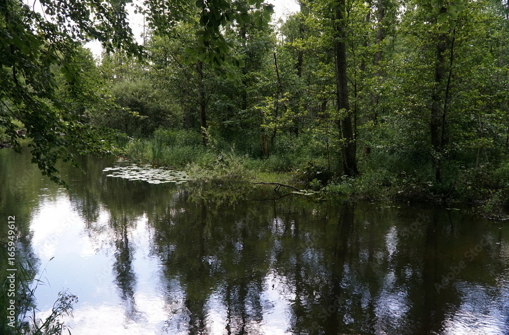 River channel River channel