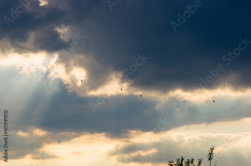 landscape with dramatic light