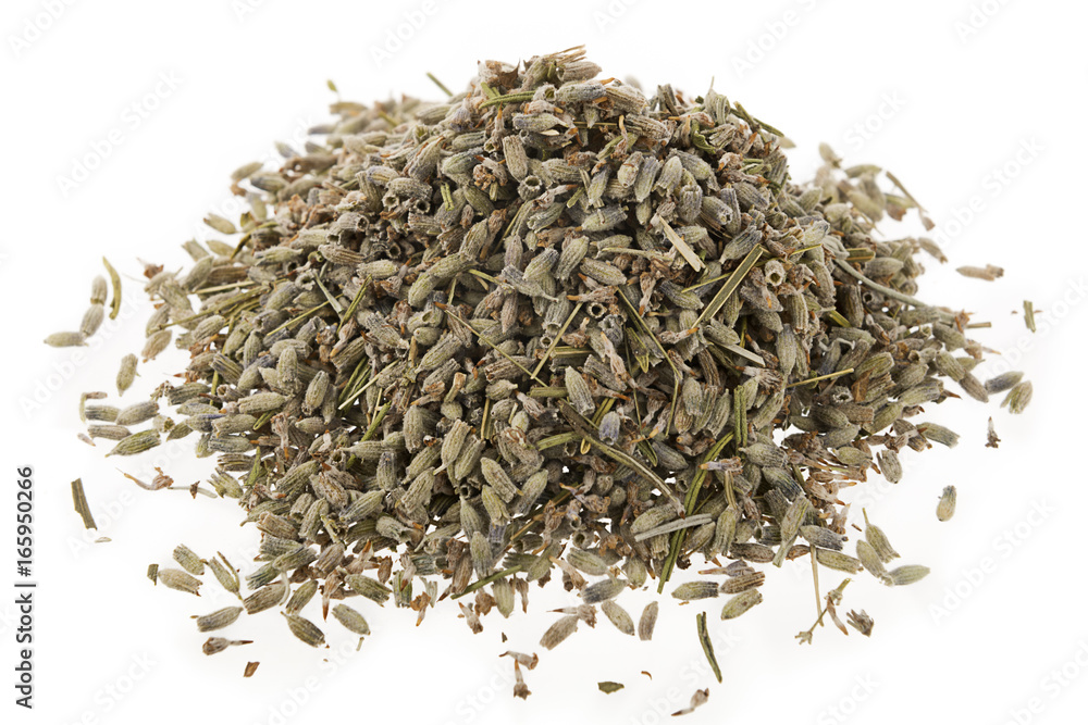 Dried Lavender Herb Isolated Dried Lavender Herb Isolated