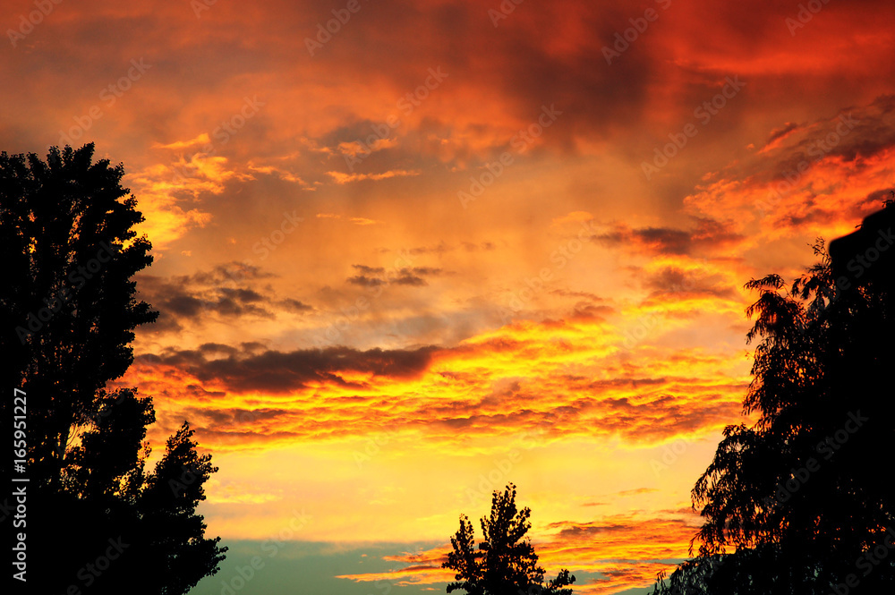 Atardecer Atardecer