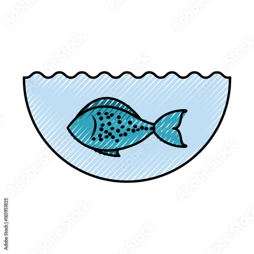 sea fish isolated icon