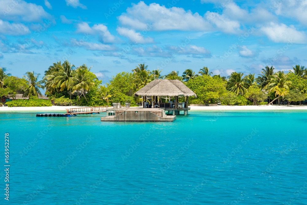Fototapeta premium Wooden pier for the arrival of seaplanes and meeting guests. Beautiful tropical landscape with palm and sandy beach.