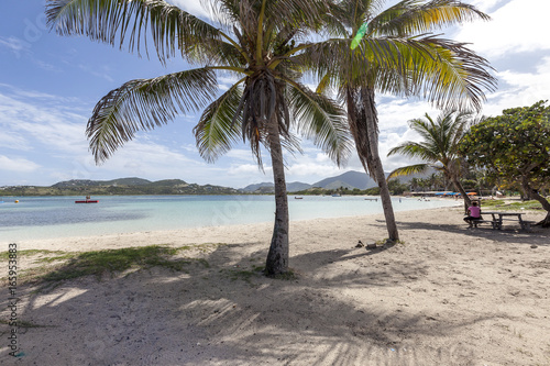 Beautiful Caribbean Beaches from Saint Martin, Sint Maarten Caribbean © ThierryDehove