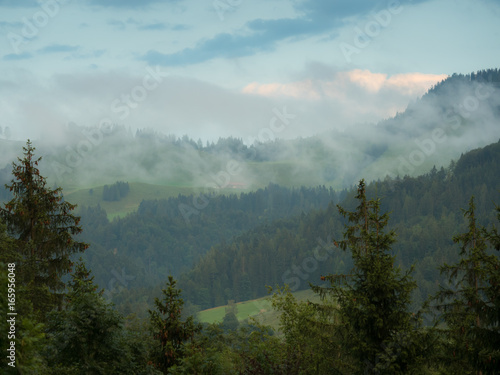 clouds over the mountains and forest