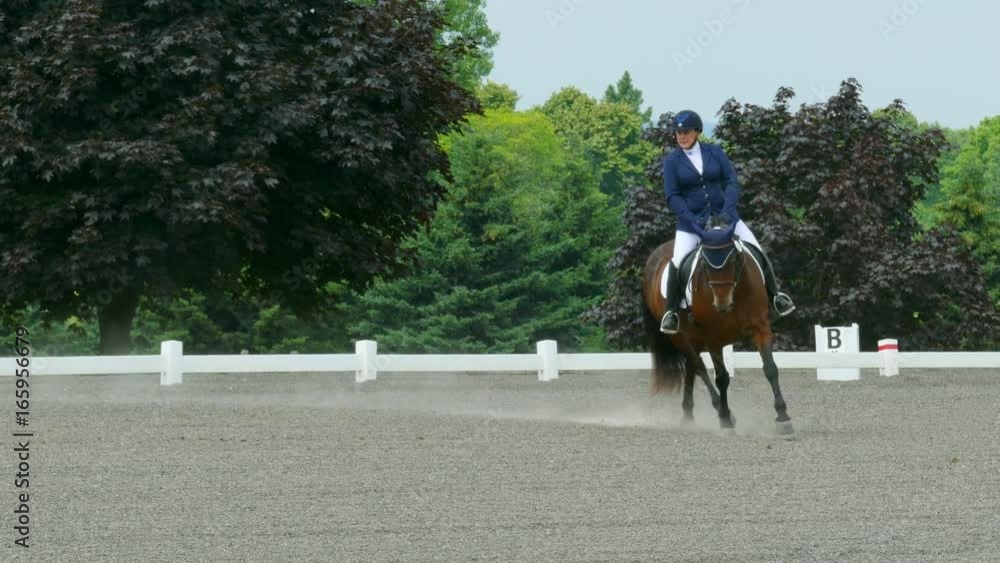 Skilled rider on magnificent steed in dressage exhibition.
Skilled rider on magnificent steed in dressage exhibition.