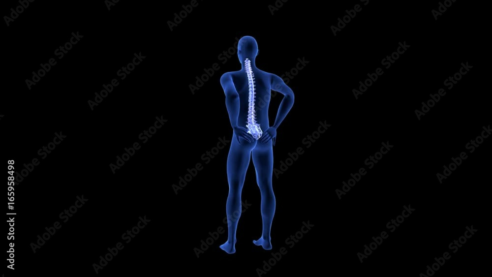 Spine Pain. Blue Human Anatomy Body 3D scan render on black background Spine Pain. Blue Human Anatomy Body 3D scan render on black background