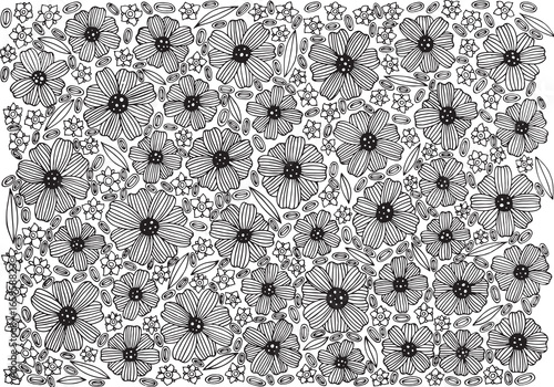 Floral background pattern - coloring page with flowers