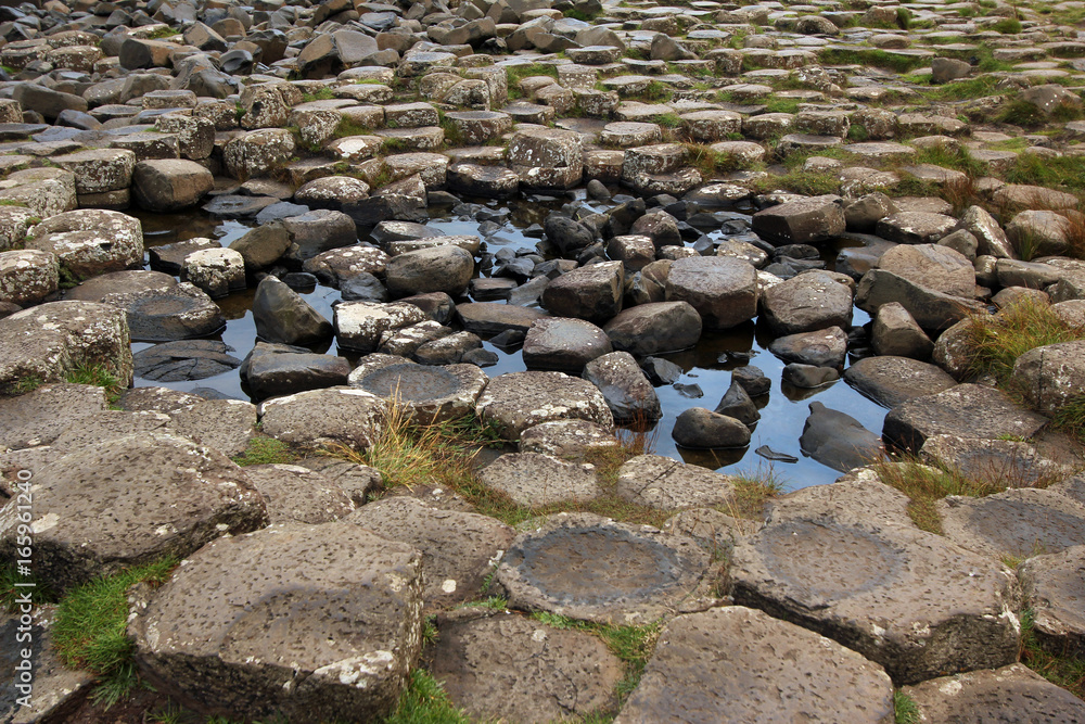 Obraz premium Giants causeway
