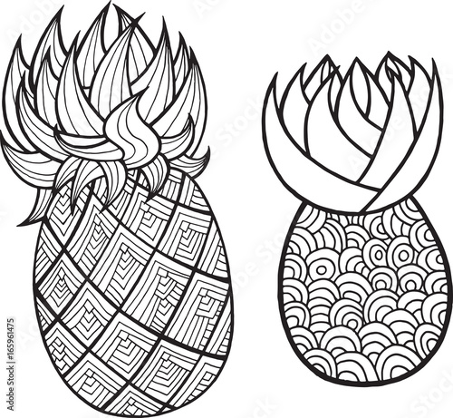 Pineapple and ananas coloring page. Graphic vector black and white art for coloring books for adults. Tropical and exotic fruit line illustration.
