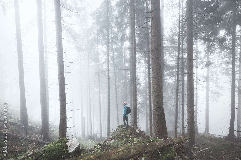 Obraz premium Hiker in misty forest