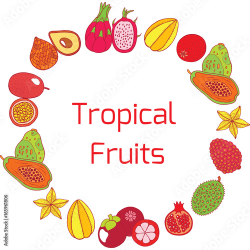 Colorful hand drawn full circle frame with tropical exotic fruits. Vector graphic art