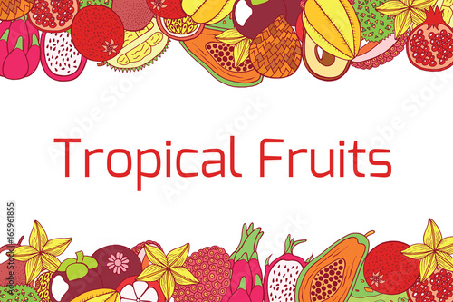 Colorful hand drawn horizontal frame with tropical exotic fruits. Vector graphic art