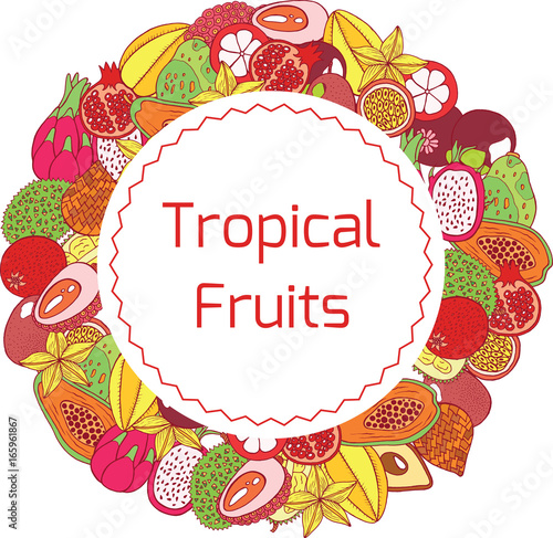 Colorful hand drawn circle frame and label with tropical exotic fruits. Vector graphic art