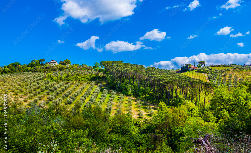 Tuscany, Italy - Landscape