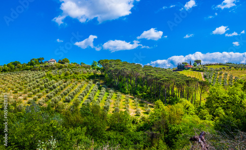Tuscany  Italy - Landscape