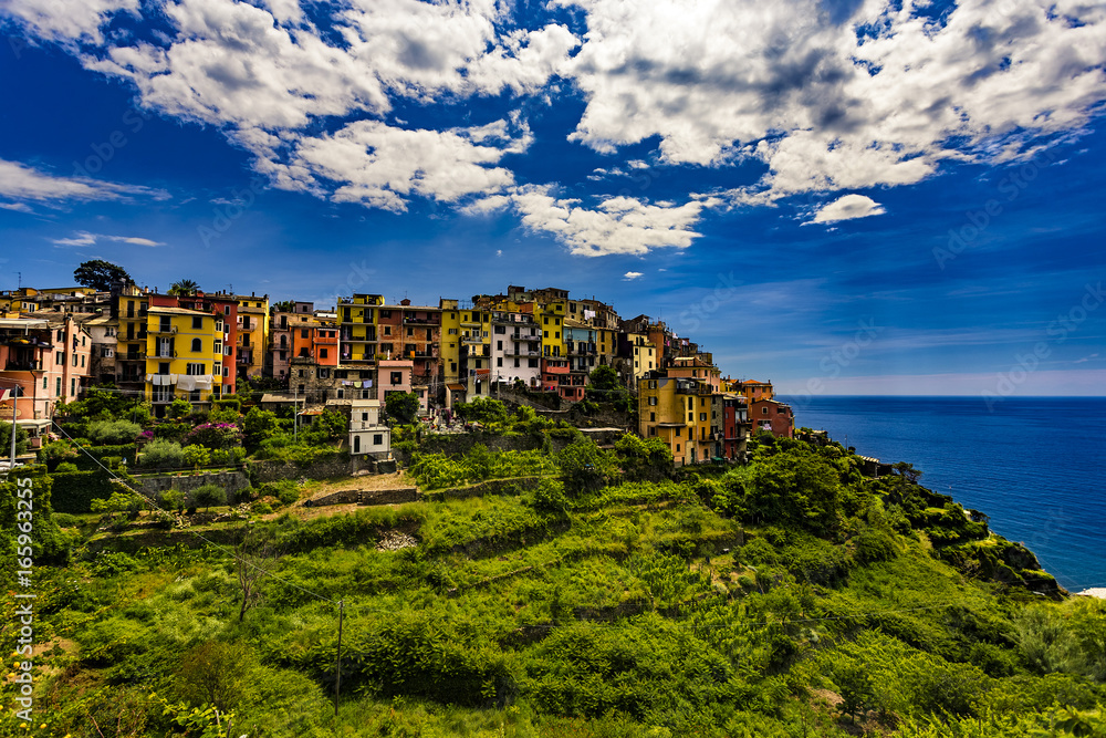 Italy. Cinque Terre (UNESCO World Heritage Site since 1997). Corniglia village (Liguria region)