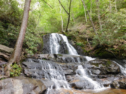 Falling Water