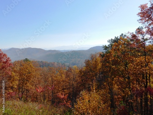 Autumn Leaves in the Smokies