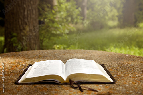 Foto An Opened Bible on a Table in a Green Garden