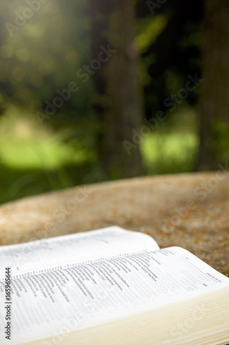 An Opened Bible on a Table in a Green Garden