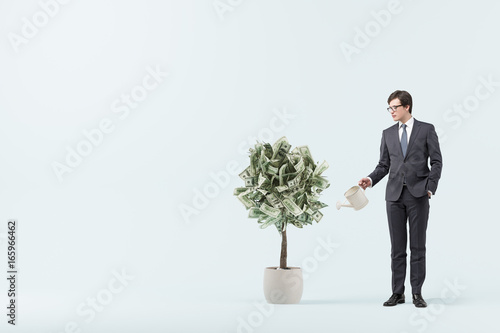 фотографія Dollar tree in a pot, blue room, businessman. 3d rendering