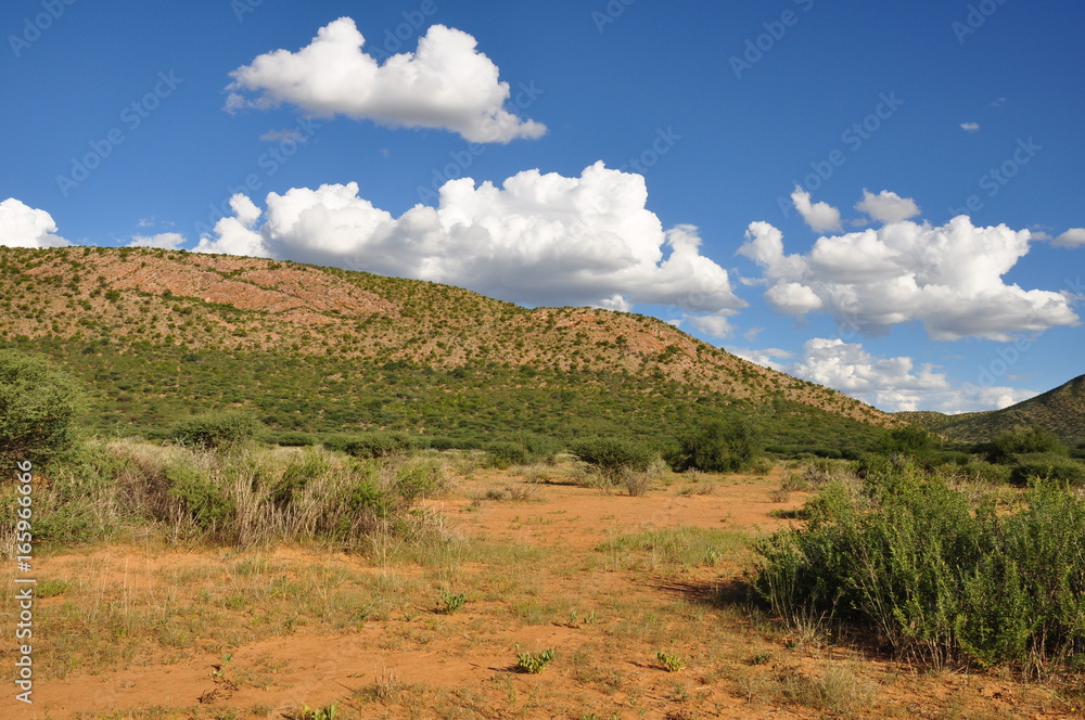 Fototapeta premium The Namibian Sky.