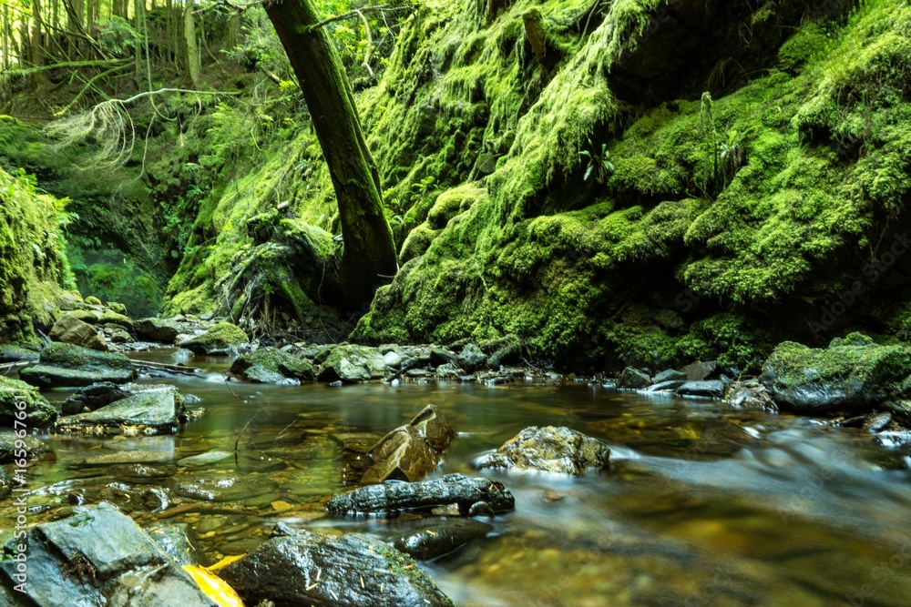 Fototapeta premium Fantasy fairy tail water fall silky green moss jungle tropical water stream