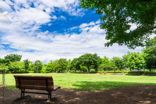 Fototapeta Naklejka Na Ścianę i Meble -  夏の青空と木陰のベンチ