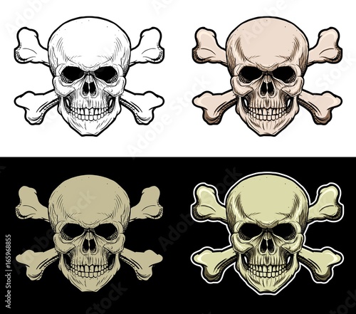 Head skull with crossed bone background, drawing skull wit 4 style color